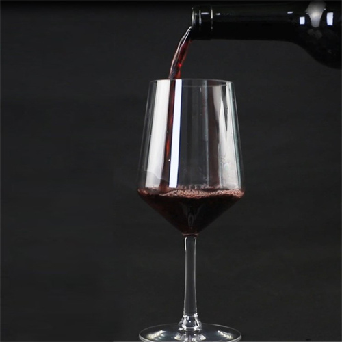 塑料高腳紅酒杯 FRG-0014
